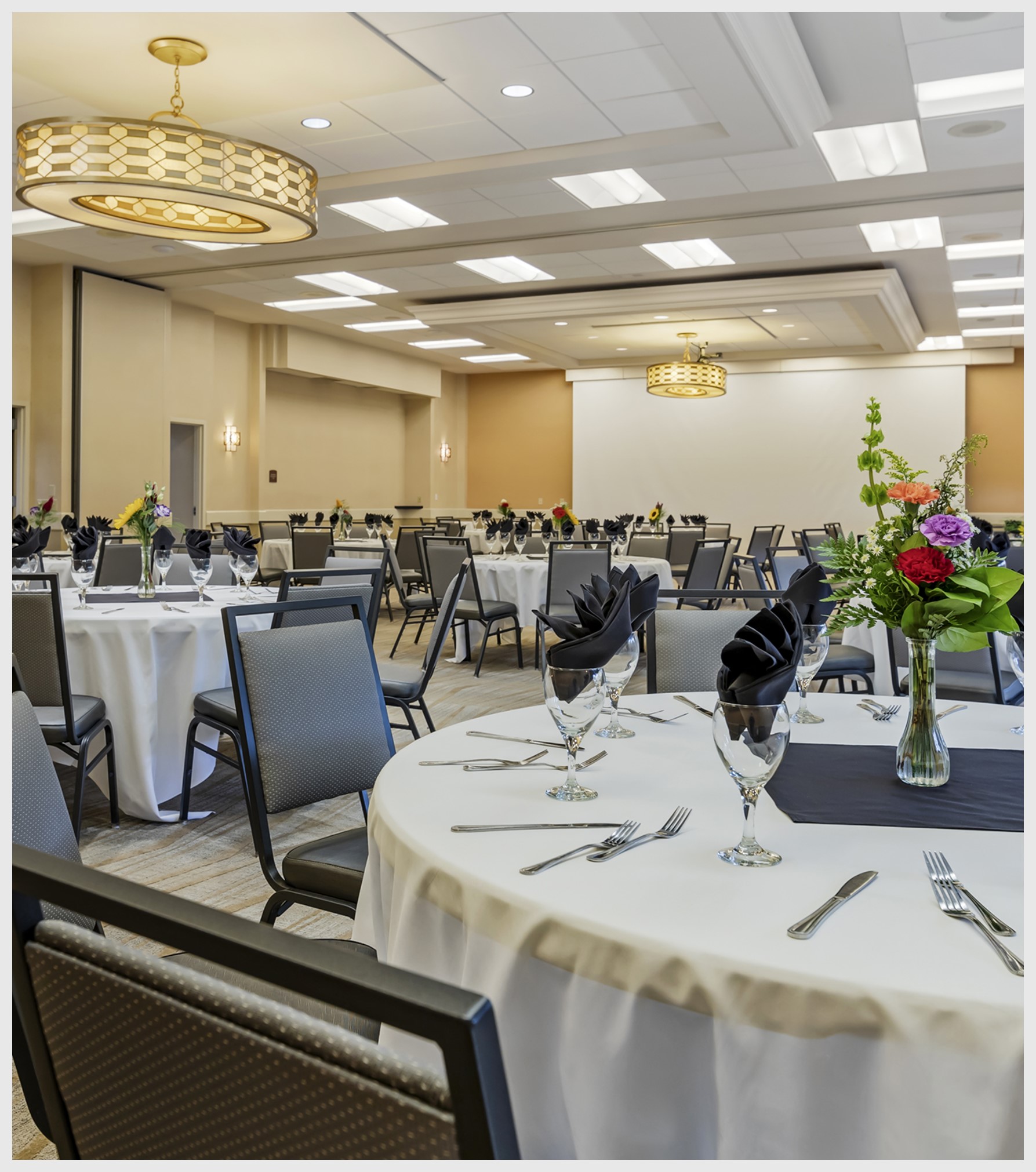 Discover the Services We Offer